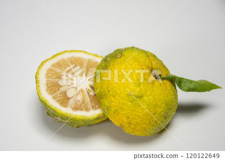 Cut organic yuzu Cut organic yuzu 120122649