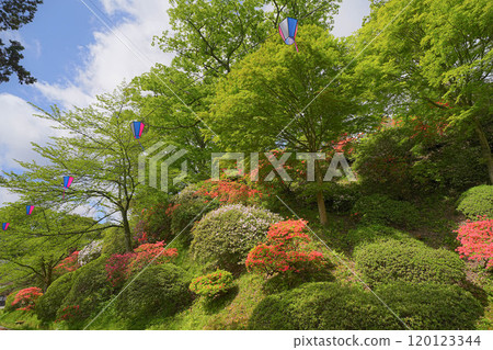 Chiaki Park 120123344