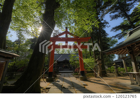 Hiyoshi Shrine Hiyoshi Shrine 120123765
