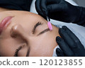 A beautician brushes the eyebrows of a client. Eyebrow care procedure in a salon. 120123855
