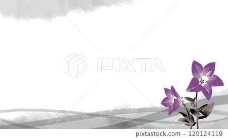 Bellflower ink painting template 120124119