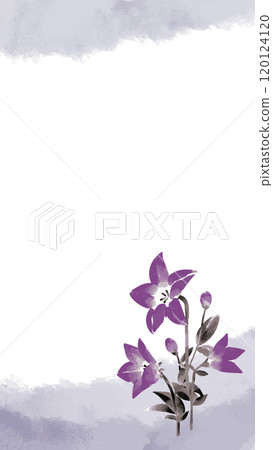 Bellflower ink painting template 120124120