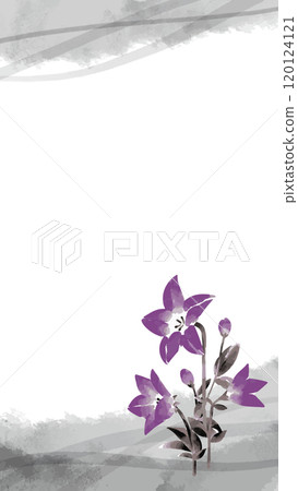 Bellflower ink painting template 120124121