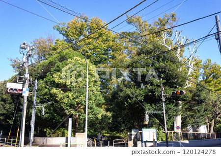 Arisugawa Palace Memorial Park 120124278