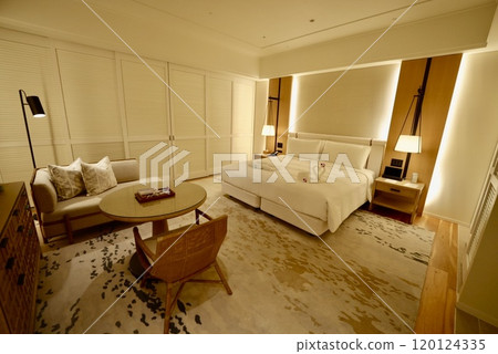 Stylish hotel rooms Stylish hotel rooms 120124335