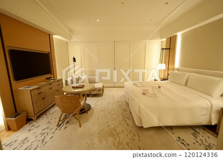 Stylish hotel rooms Stylish hotel rooms 120124336