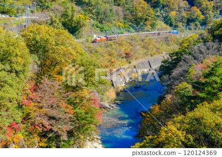 Tone River and DL Gunma in autumn Tone River and DL Gunma in autumn 120124369