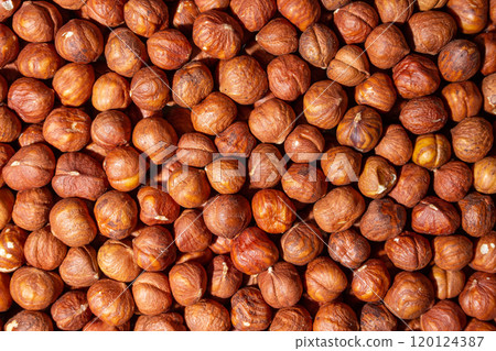 Scattered Peeled Hazelnut. Background from Hazelnuts 120124387