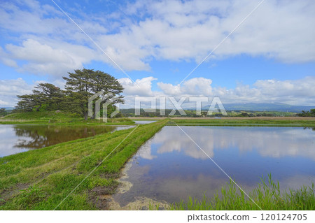 Kujuku Island 120124705