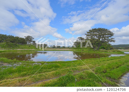 Kujuku Island 120124706