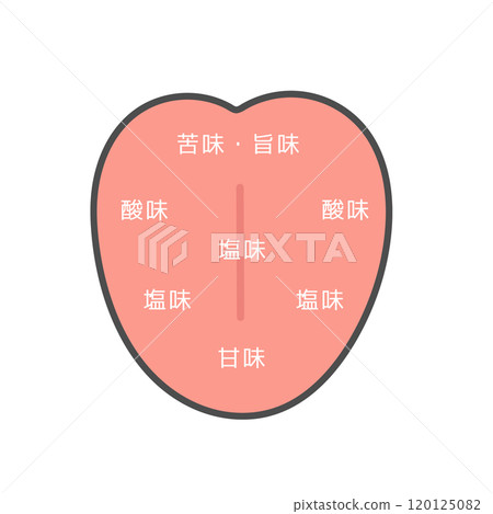 舌頭味覺分佈圖示 舌頭味覺分佈圖示 120125082