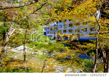 黃葉和河子溫泉 120125217