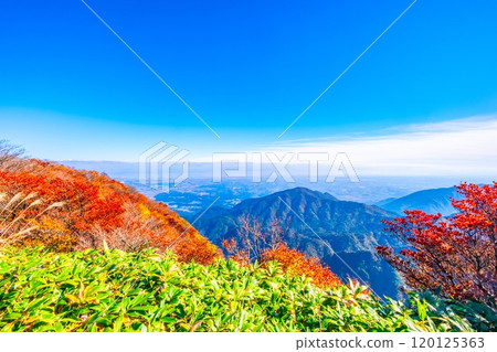 Autumn foliage and views from Mount Gozaisho's mountain park 120125363