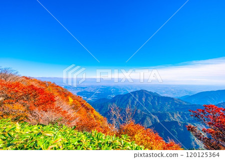 Autumn foliage and views from Mount Gozaisho's mountain park 120125364