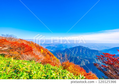Autumn foliage and views from Mount Gozaisho's mountain park 120125366