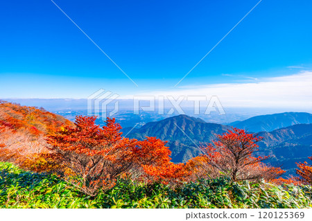 禦在所山三條公園的紅葉和景色 120125369