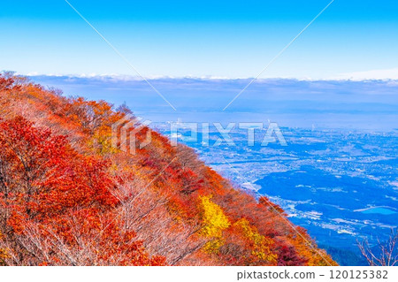 Autumn foliage and views from Mount Gozaisho's mountain park Autumn foliage and views from Mount Gozaisho's mountain park 120125382