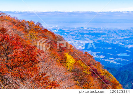 Autumn foliage and views from Mount Gozaisho's mountain park 120125384