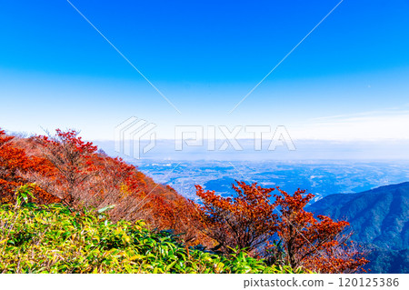 Autumn foliage and views from Mount Gozaisho's mountain park 120125386