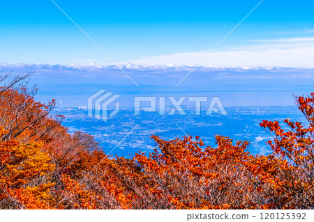 禦在所山三條公園的紅葉和景色 120125392