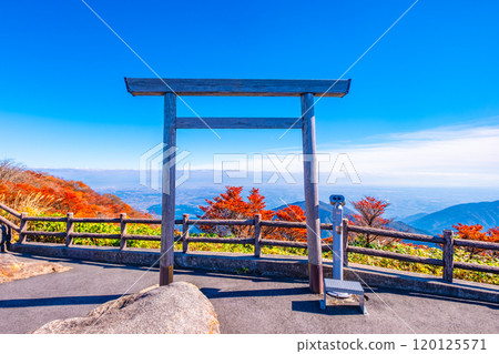 Torii Gate in the Sky at Mount Gozaisho Park 120125571