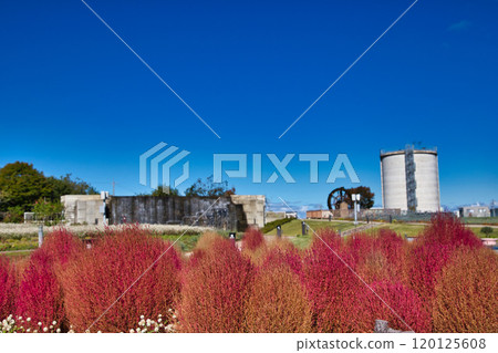 Autumn at Yuri no Sato Park 120125608