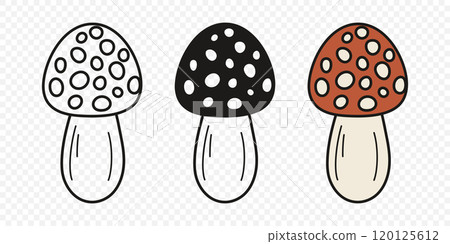 Flat Vector Hand Drawn Cartoon Fly Agaric Mushrooms Outline Illustration. Amanita Muscaria, Fly Agaric Illustration, Mushrooms. Magic Mushroom Icons, Design Template 120125612