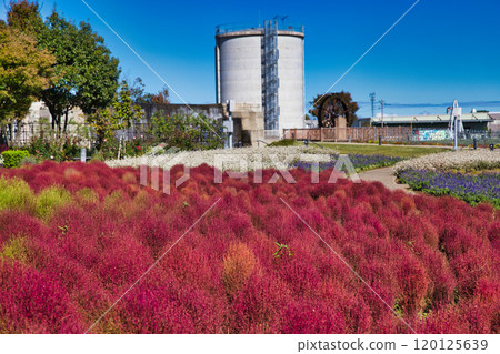 湯裡之裡公園的秋天 湯裡之裡公園的秋天 120125639