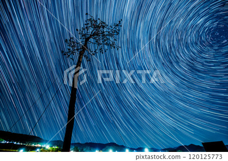 岩手縣一棵松樹的神奇星景（60分鐘軌跡） 120125773