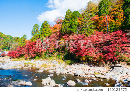 Korankei (Autumn) 120125775
