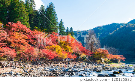 香蘭溪（秋季） 120125883