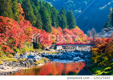 香蘭溪（秋季） 120125885