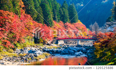 Korankei (Autumn) 120125886