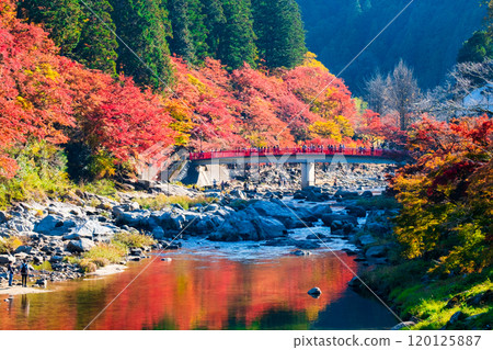 Korankei (Autumn) 120125887