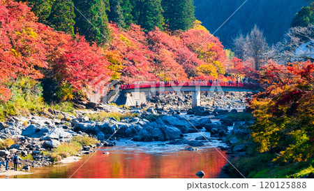 Korankei (Autumn) 120125888