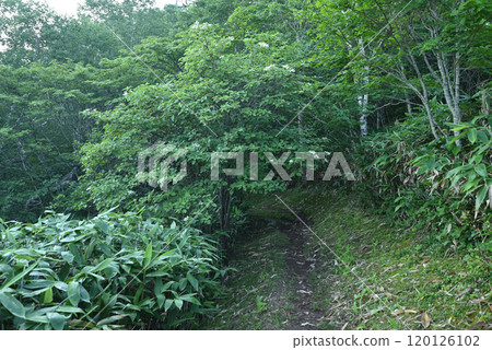 攀登群馬縣白砂山 120126102