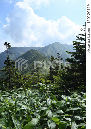 攀登群馬縣白砂山 攀登群馬縣白砂山 120126119