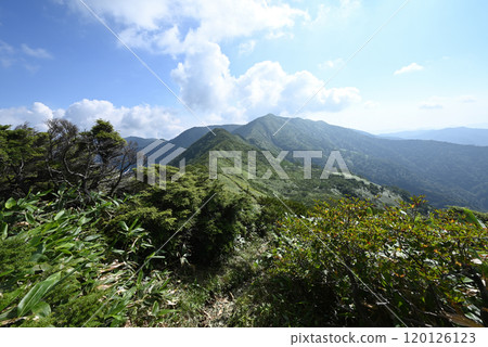 攀登群馬縣白砂山 攀登群馬縣白砂山 120126123