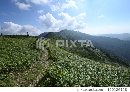 Climbing Mount Shirasuna, Gunma Prefecture 120126128