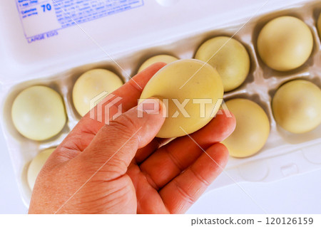 Holding freshness egg selecting one from carton for purpose of using it in culinary cooking Holding freshness egg selecting one from carton for purpose of using it in culinary cooking 120126159