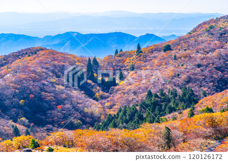 Autumn foliage and views from Mount Gozaisho's mountain park 120126172