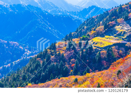 禦在所山三條公園的紅葉和景色 120126179