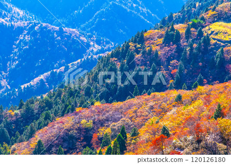 禦在所山三條公園的紅葉和景色 120126180