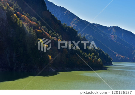 立山黑部阿爾卑斯山路線、黑部水壩的秋葉 立山黑部阿爾卑斯山路線、黑部水壩的秋葉 120126187