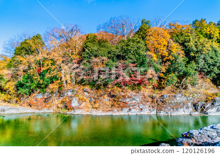 埼玉長瀞溪谷：紅葉染紅的岩石路面與荒川溪流 120126196