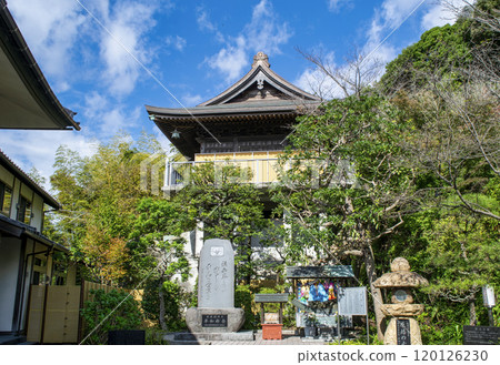 Kamakura City, Butsukaizan, Ofuna Kannonji Temple grounds 120126230