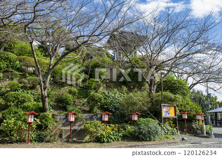 Kamakura City, Butsukaizan, Ofuna Kannonji Temple grounds 120126234