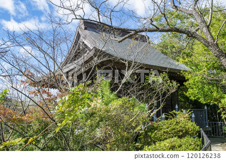 鎌倉市、佛須海山、大船觀音寺、地古堂 120126238