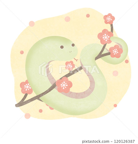 梅子色和蛇黃色 梅子色和蛇黃色 120126387