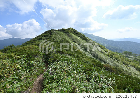 攀登群馬縣白砂山 攀登群馬縣白砂山 120126418